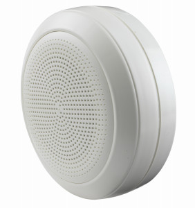 Cabinet Loudspeaker BLC550CR